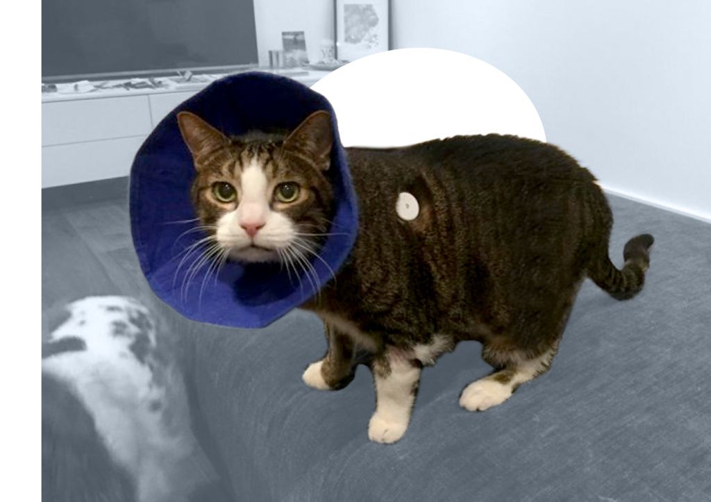 БЛОГ-3.jpg БЛОГ-3.jpg