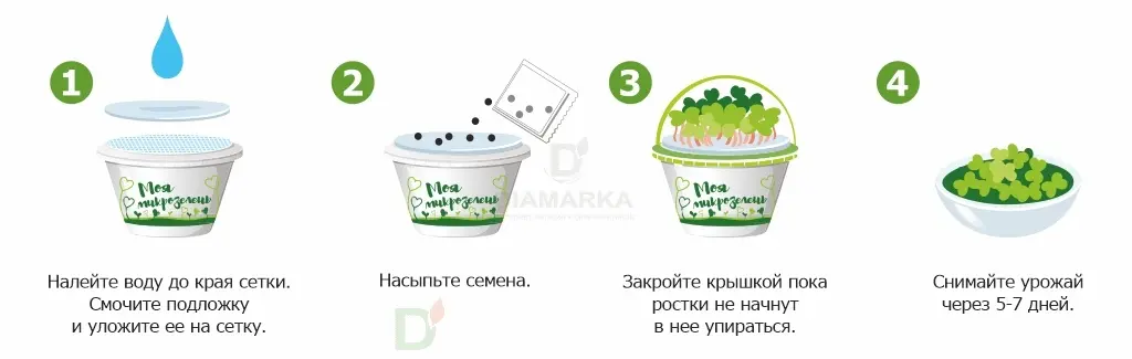 Набор для выращивания Здоровья клад Рукола